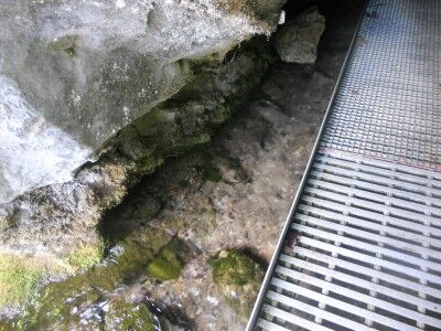 Oregon Caves river at entrance