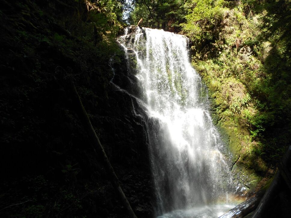 Berry Creek Falls Big Basin Redwoods California State Park – National ...